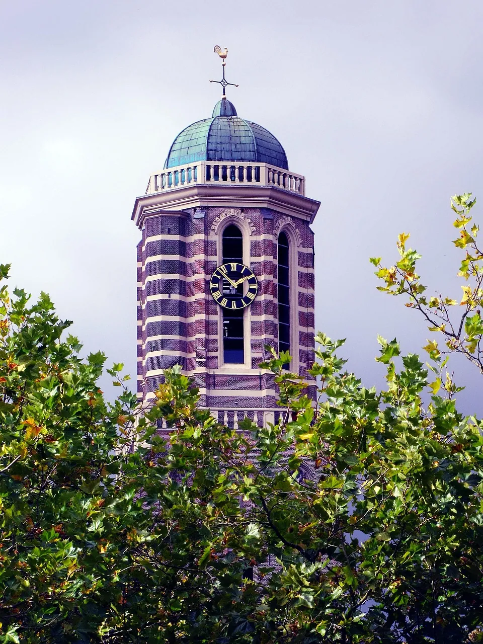 De Peperbus toren in Zwolle gezien door de groene bladeren van een boom.